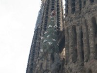 IMG 5585