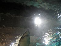 IMG 5683