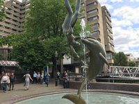 IMG 0920