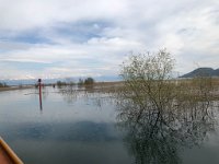 IMG 0738