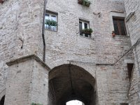 DSC 0085