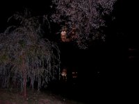 DSCN1797