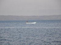 DSC 0043