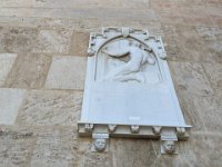 IMG 0955