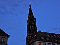 DSC 0011