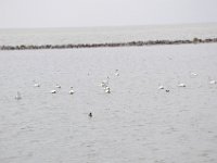 DSC 0459