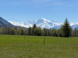 IMG_5290