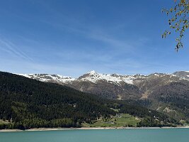 IMG_5298