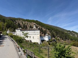IMG_5308