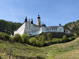 IMG_5324