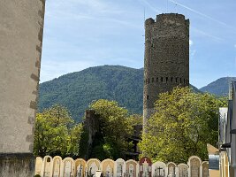 IMG_5330