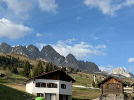 IMG_5350