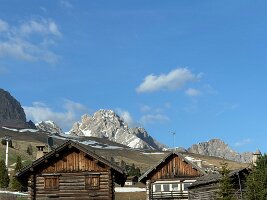 IMG_5351