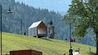 IMG_7117 null