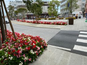 IMG_3863 null