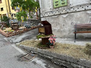 IMG_1834 null