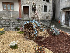 IMG_1835 null