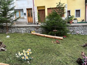 IMG_1838 null