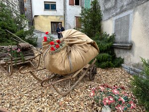 IMG_1841 null