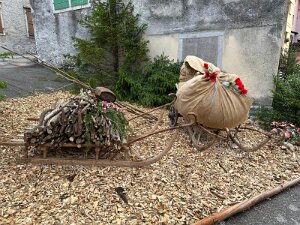 IMG_1842 null