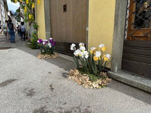 IMG_1844 null