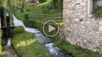 IMG_7641