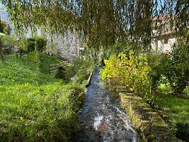 IMG_7642