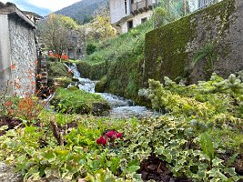 IMG_7645