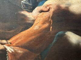 IMG_7649