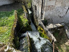 IMG_7677