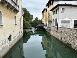 IMG_7448