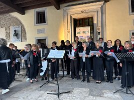 IMG_7453