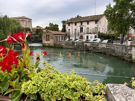 IMG_7460