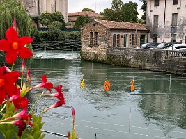 IMG_7462