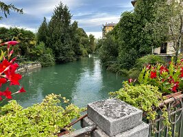 IMG_7463