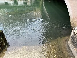 IMG_7465