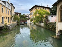 IMG_7469