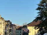 IMG_7965