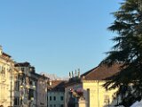 IMG_7965