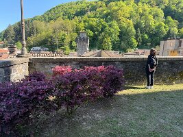 IMG_5114