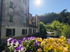 IMG_5123