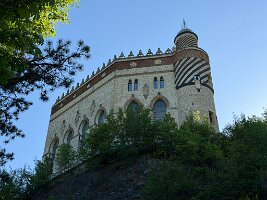 IMG_5153