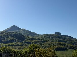 IMG_5155