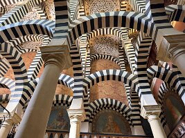 IMG_5164