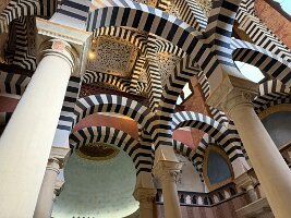 IMG_5166