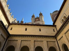 IMG_5173