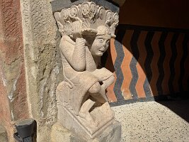 IMG_5206