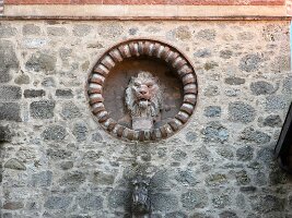 IMG_5209