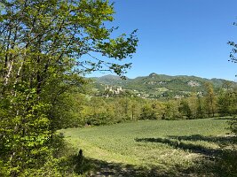 IMG_5211