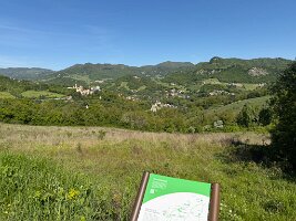IMG_5213